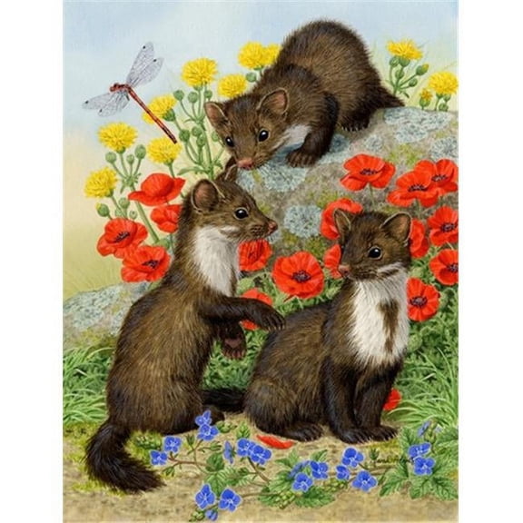 Stone Martins Beech Marten Flag Canvas House Size