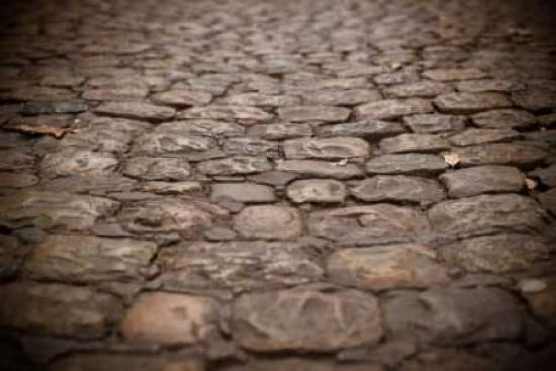 Stone Path I Canvas Art - Erin Berzel (24 x 36)