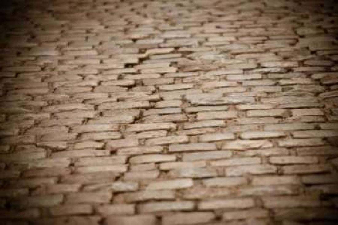 Stone Path II Canvas Art - Erin Berzel (12 x 18)