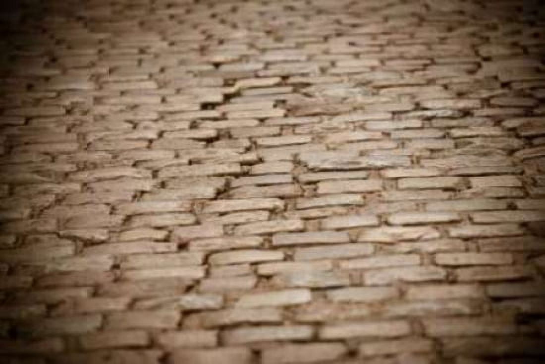Stone Path II Canvas Art - Erin Berzel (24 x 36)