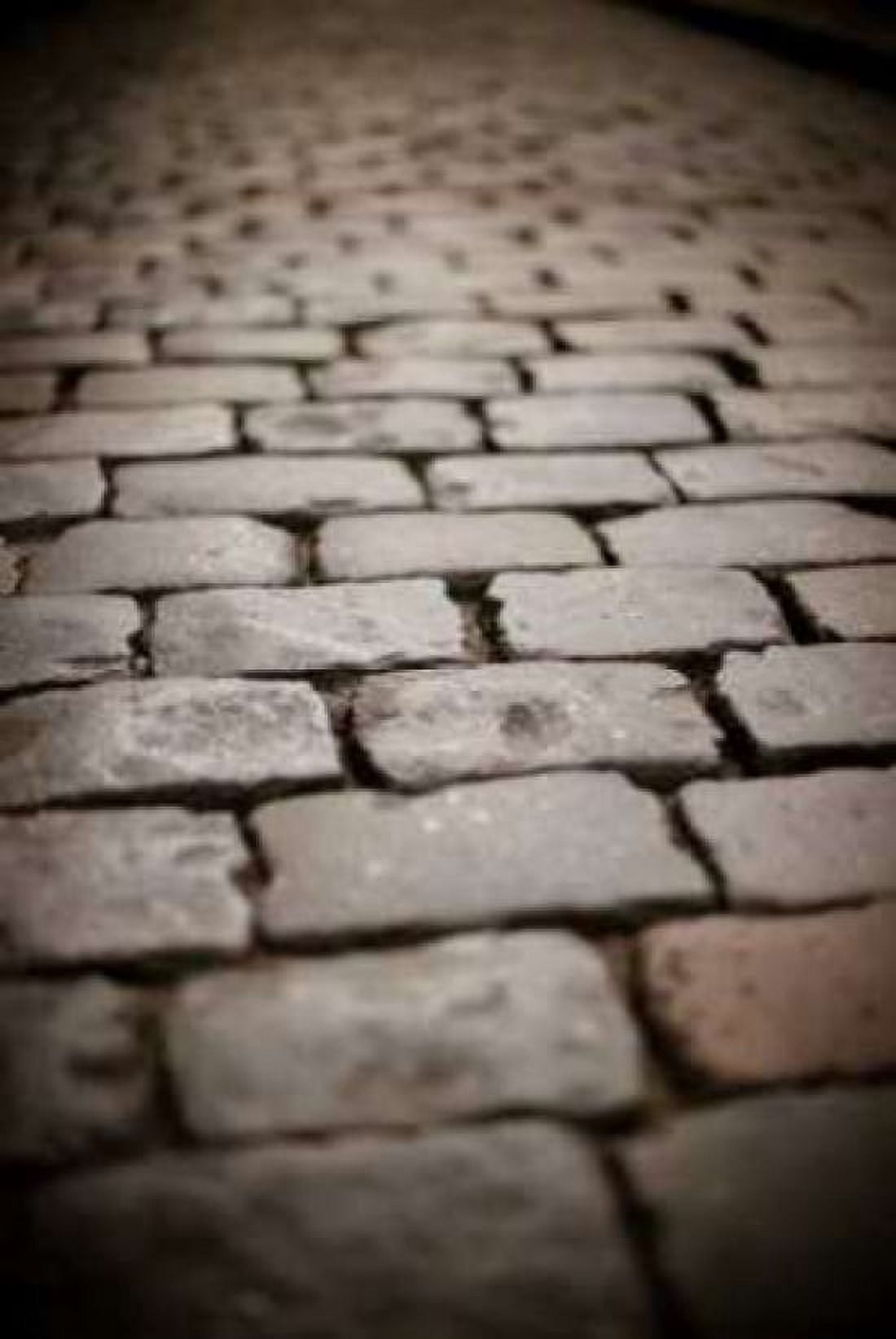 Stone Path III Canvas Art - Erin Berzel (12 x 18)