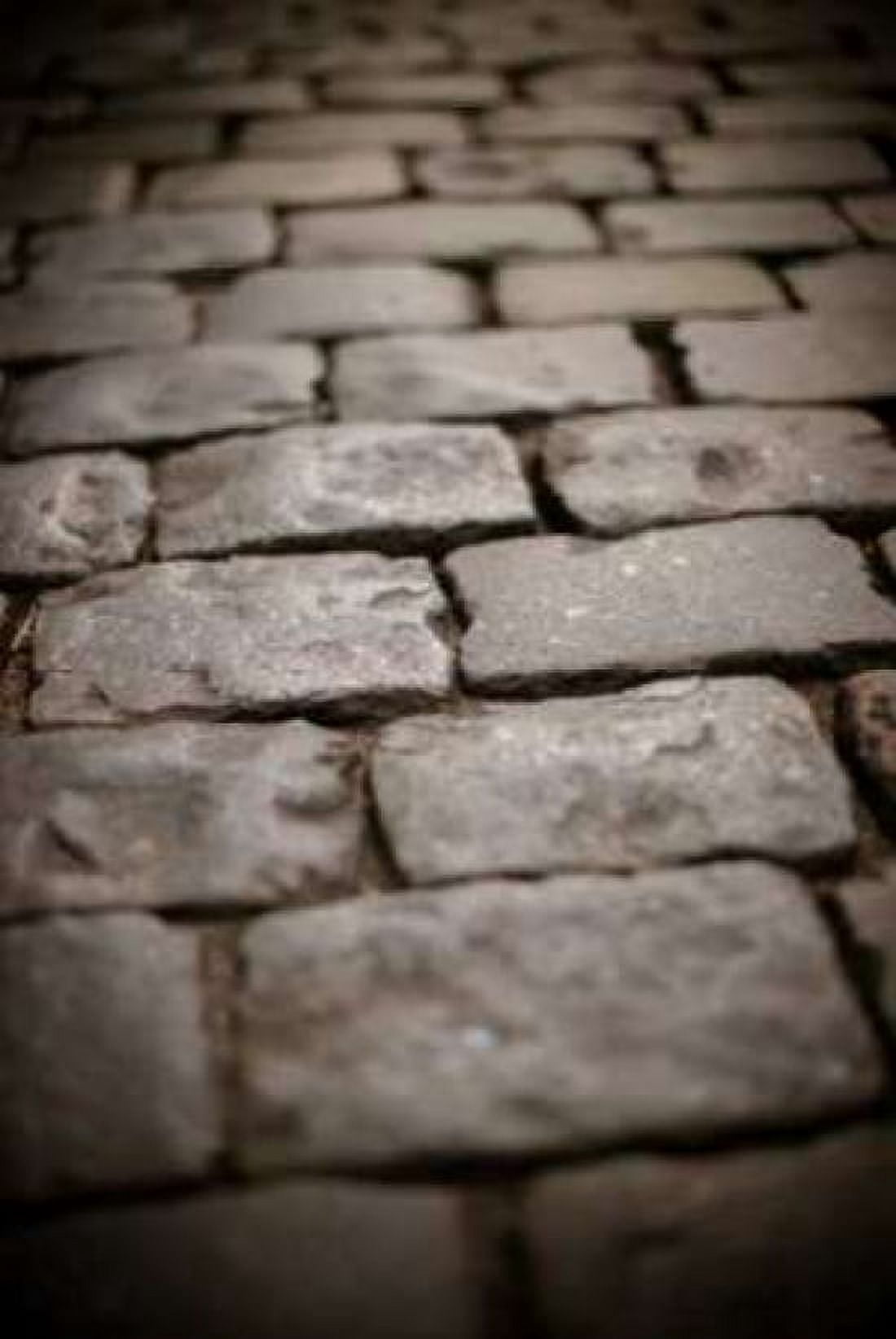 Stone Path IV Canvas Art - Erin Berzel (24 x 36)