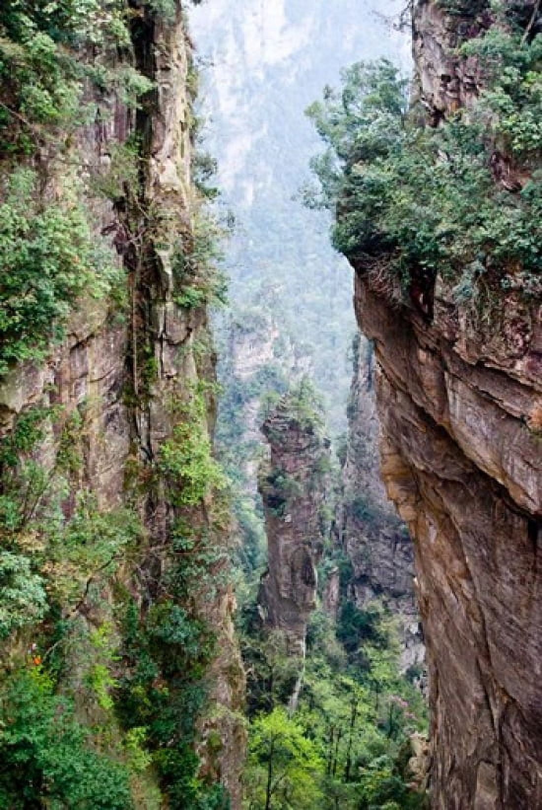 Stone Spires Zhangjiajie National Forest Park Hunnan China Canvas Art - Charles Crust DanitaDelimont (23 x 35)
