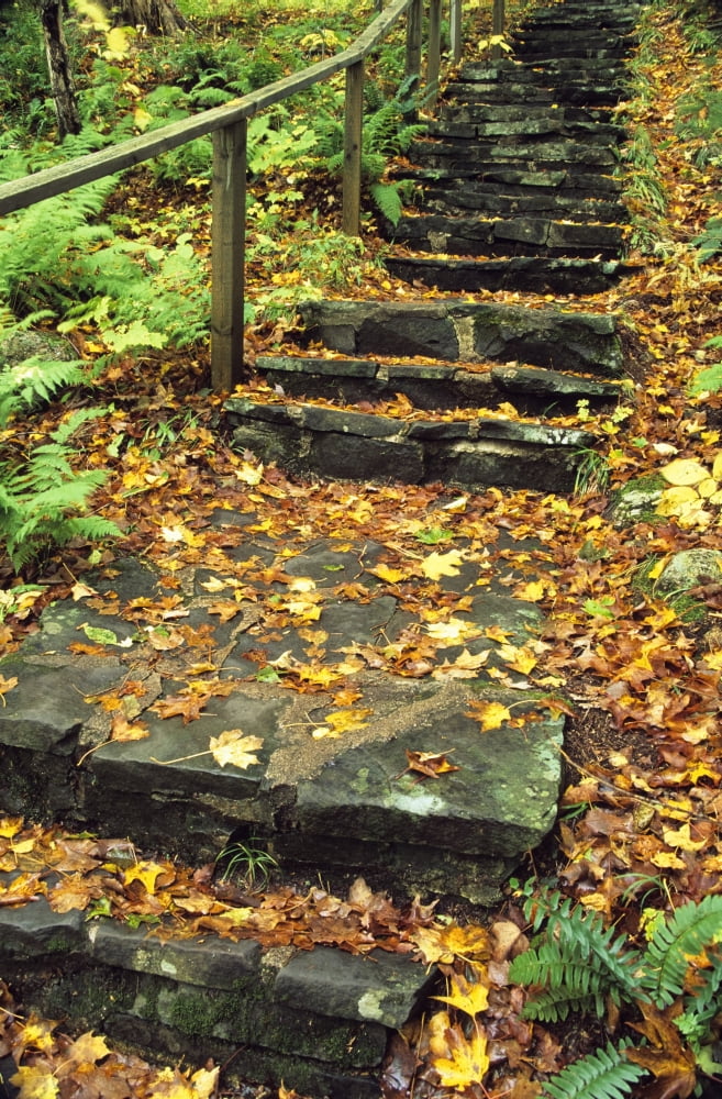 Stone Stairway In Forest Cape Breton Highlands National Park Nova Scotia Canada Canvas Art - Bilderbuch Design Pics (11 x 18)