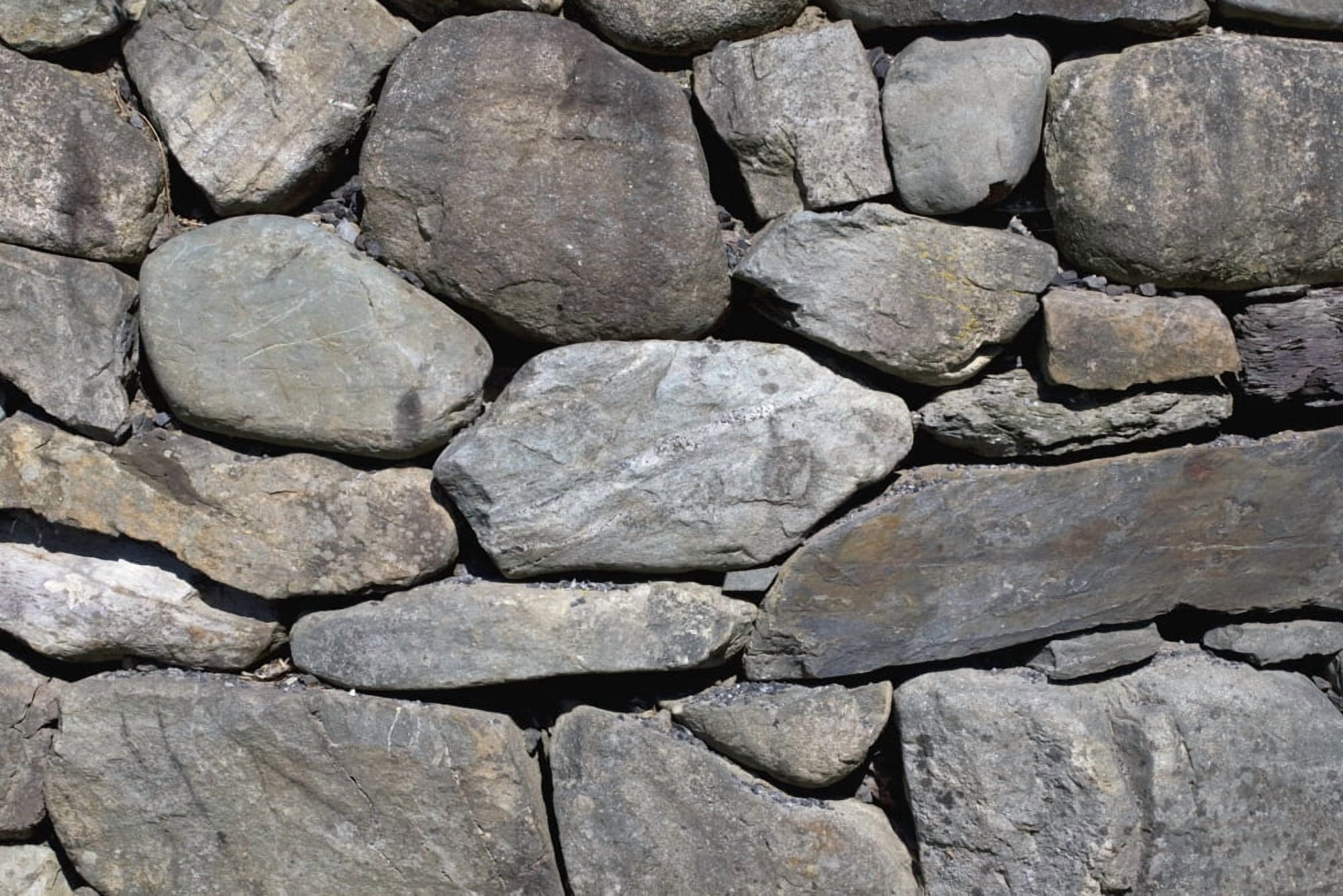 Stone Wall Canvas Art - David Chapman Design Pics (36 x 24)