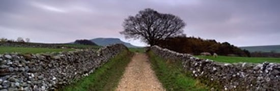 Stone Walls Along A Path Yorkshire Dales England United Kingdom Canvas Art - Panoramic Images (36 x 12)