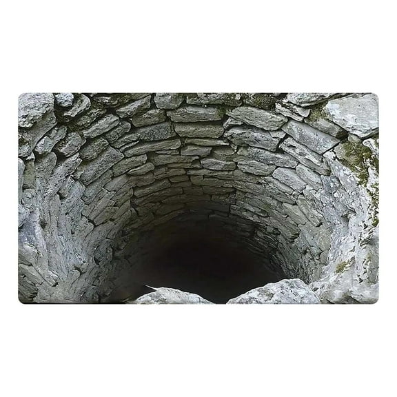 Stone Well Texture Indoor Outdoor Rug, Washable Extra Thick Anti- Carpet for Entryway, Front Door, Patio, Living Room and Bedroom Home Decor - All-Weather Floor Mat