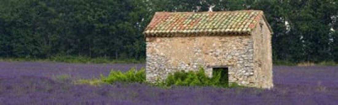 Stone building in a lavender field Provence-Alpes-Cote DAzur France Canvas Art - Panoramic Images (18 x 6)
