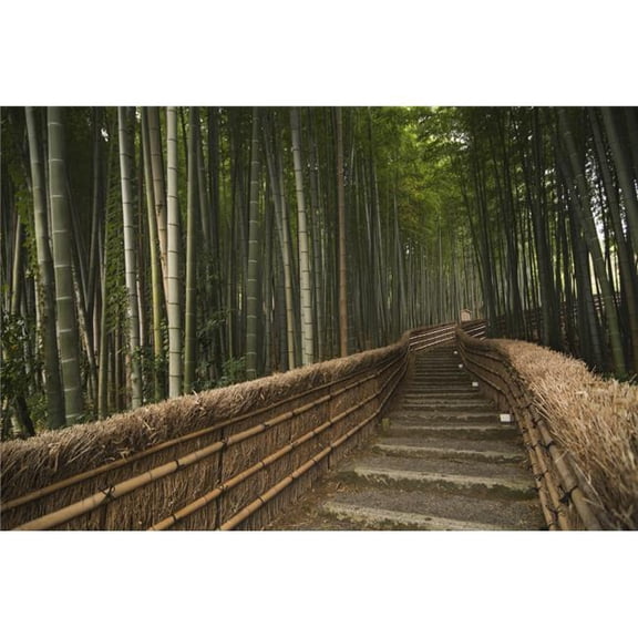 Stone pathway in bamboo forest; Arashiyama Kyoto Japan Poster Print