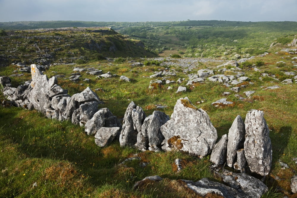 Stone wall near Kilfenora Burren County Clare Ireland Canvas Art - Carl Bruemmer Design Pics (38 x 24)
