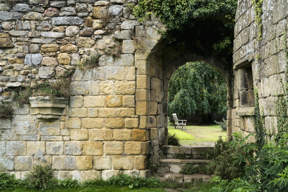 Stone wall overgrown with plants and steps up to a walkway Canvas Art - John Short Design Pics (19 x 12)