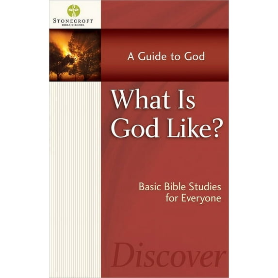 Stonecroft Bible Studies: What Is God Like? (Paperback)