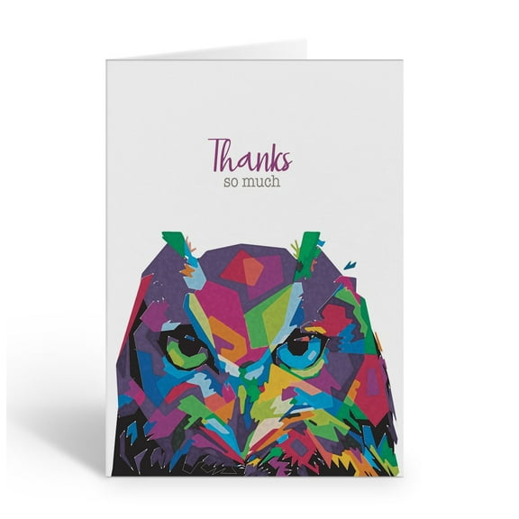 Stonehouse Collection | Artistic Owl Note Cards | Colorful Wildlife Greeting Car
