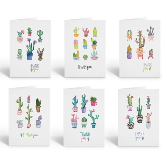 Stonehouse Collection | Assorted Succulent Design Note Card Set | Variety of Cac