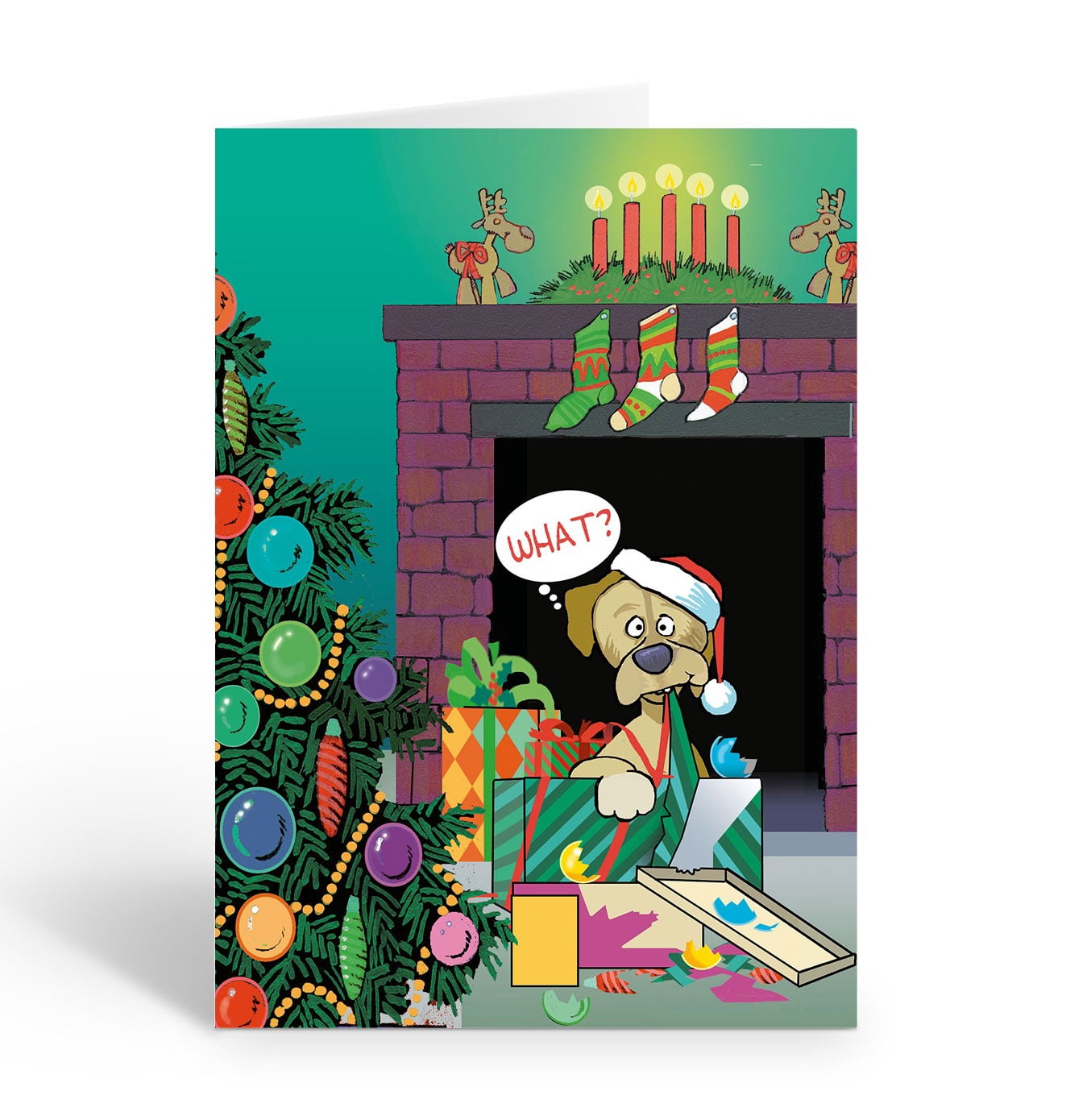 Stonehouse Collection Funny Dog Christmas Cards, Pet Holiday Cards with ...