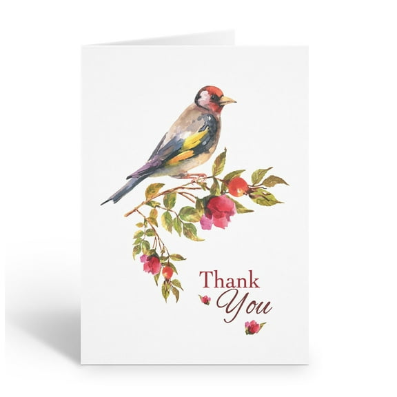 Stonehouse Collection | Red-Headed Bird Perched on Tree with Flowers | Thank You
