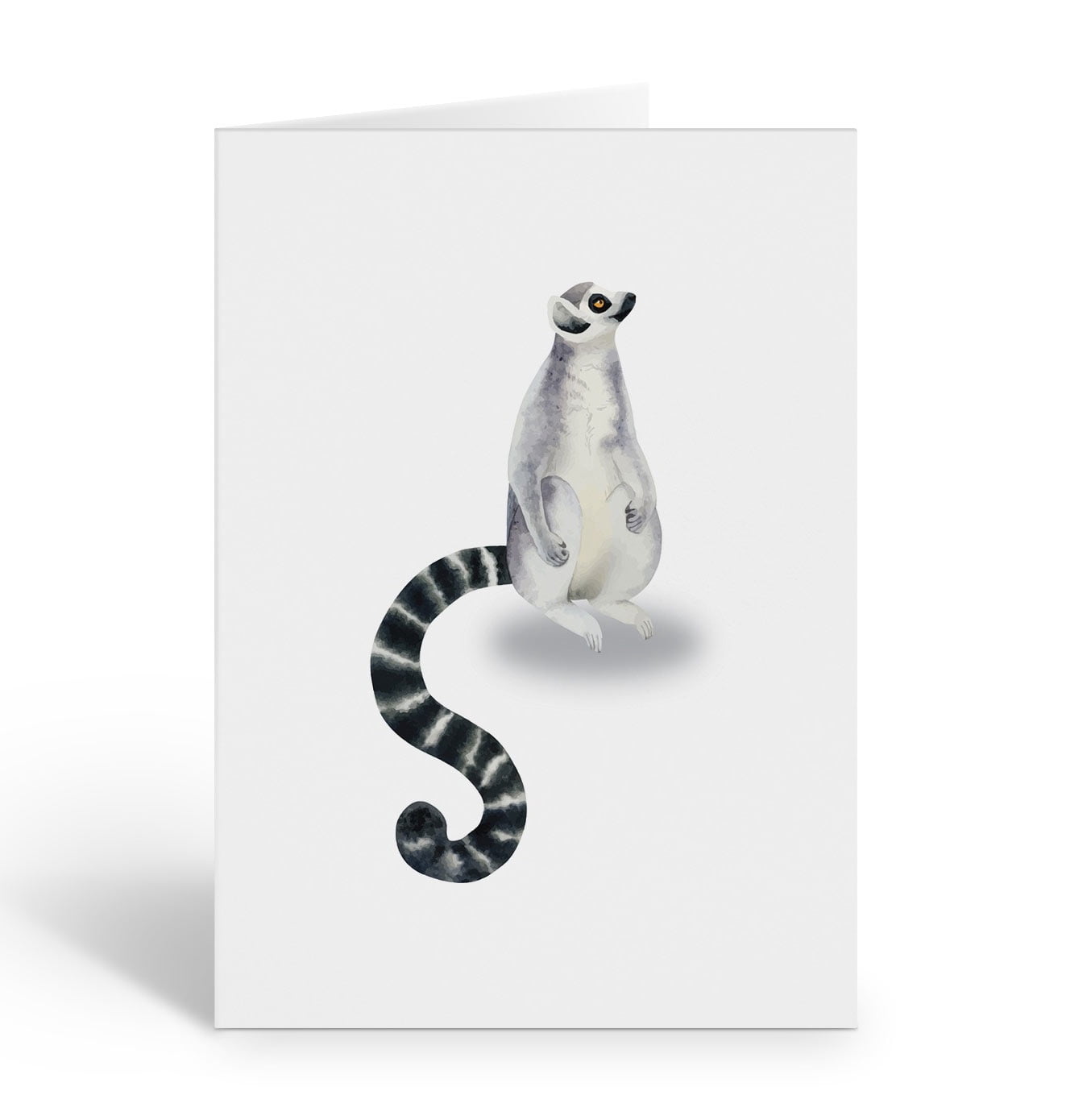 Stonehouse Collection | Ringtail Cat Note Card Set | Wild Animal Thank ...
