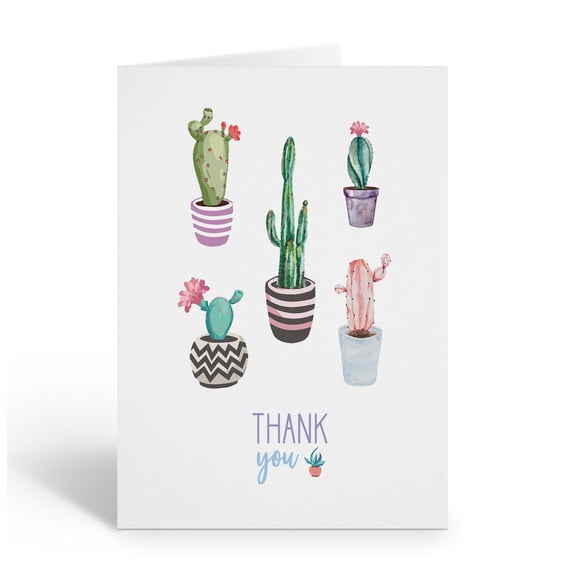 Stonehouse Collection | Succulent Thank You Note Cards | Arizona, New Mexico, D