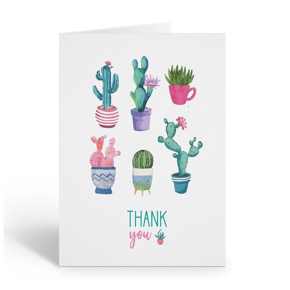 Stonehouse Collection | Succulent Thank You Note Cards | New Mexico, Desert Set