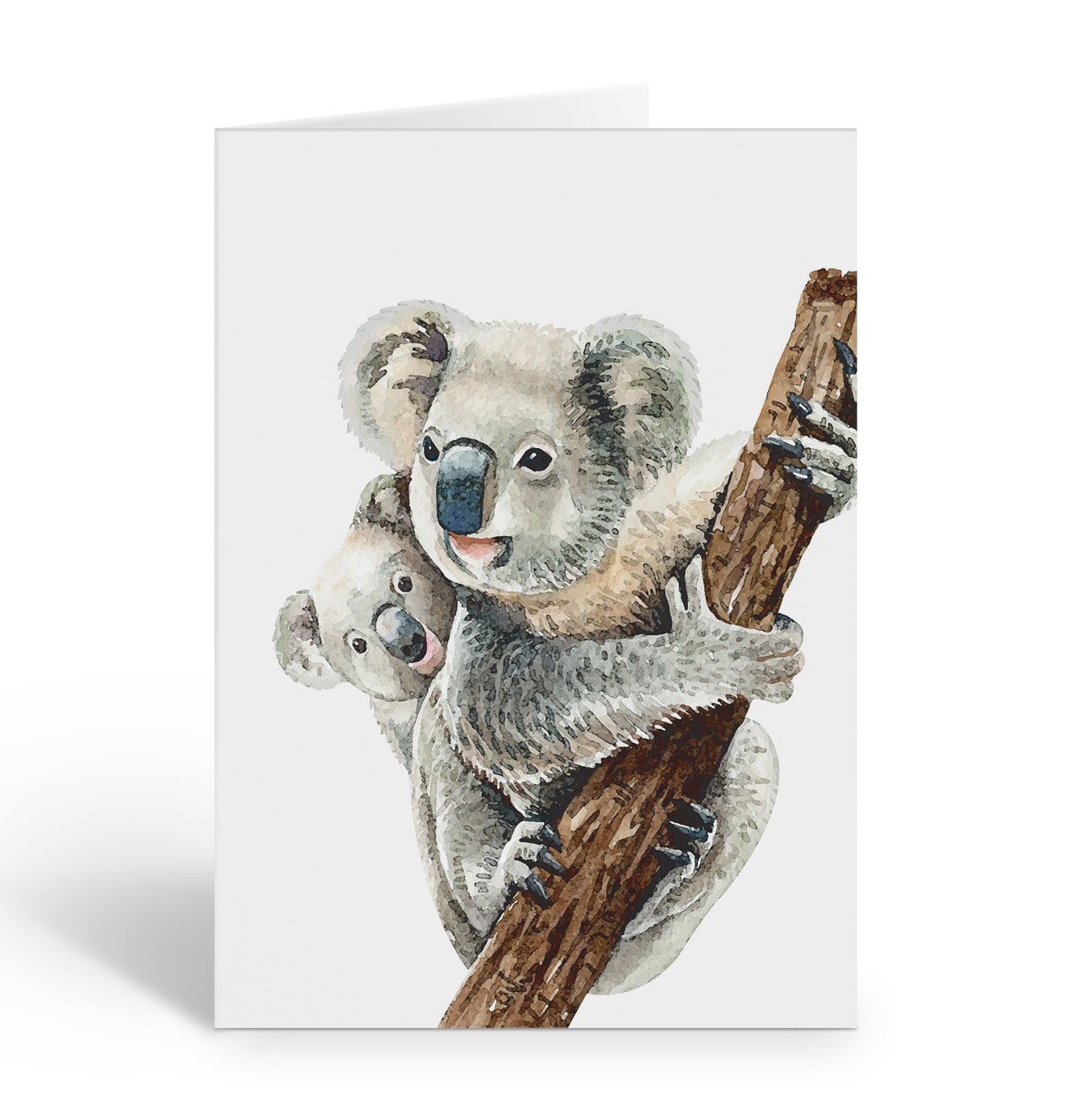 Stonehouse Collection | Wild Life Note Card Set | Animal Thank You ...