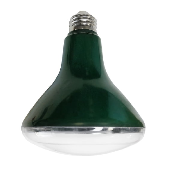 Stonepoint GR-BR30 E26 LED Bulb, 8 watts