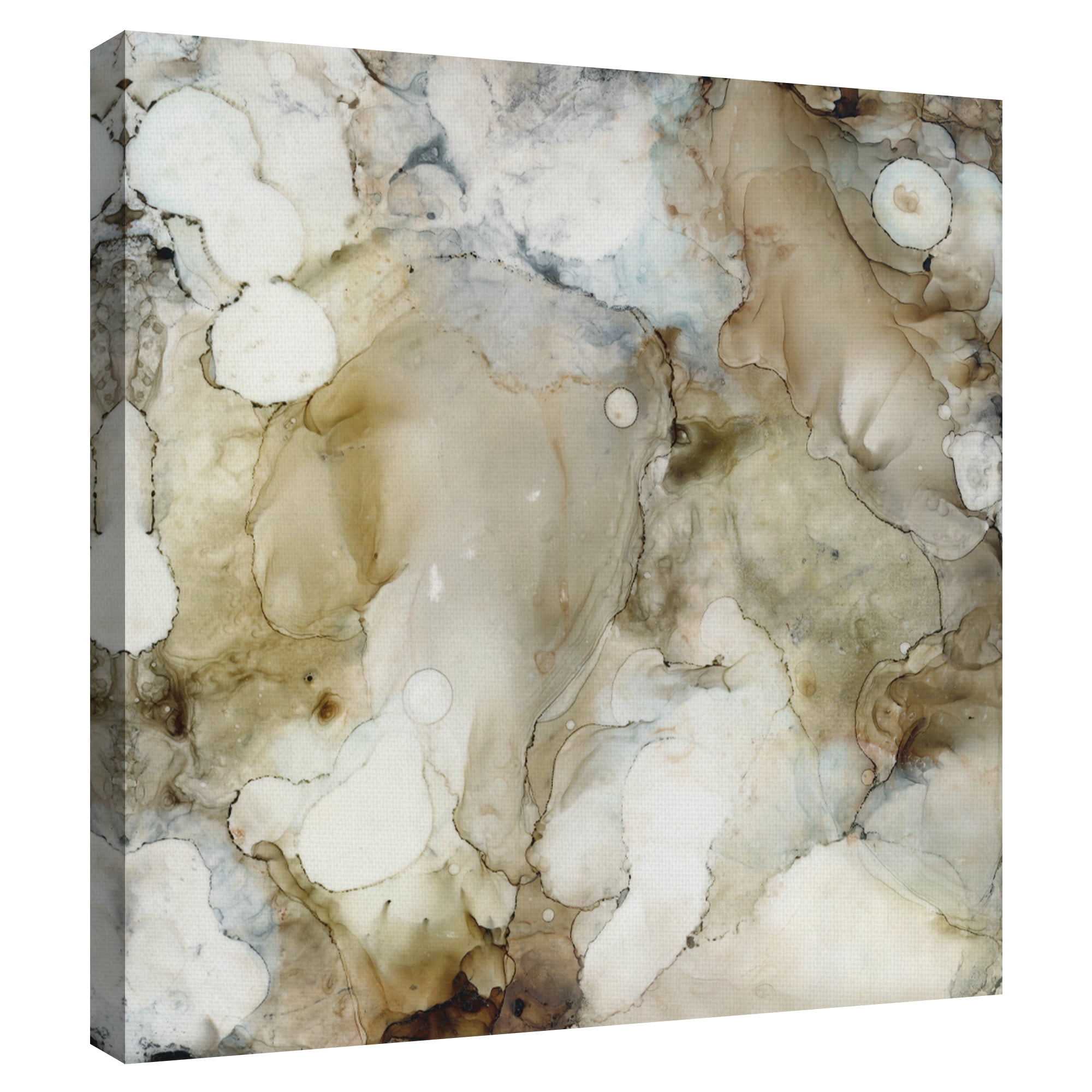 Stonewashed I by Carol Robinson Canvas Art Print