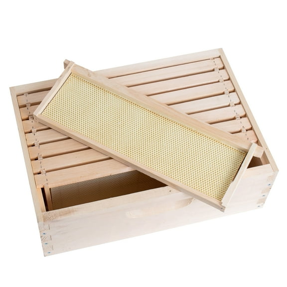 Stoney Acres Beekeeping Beehive Box, 8 Frame Medium Assembled Super or Brood Honeybee Hive Box with Plastic Foundation Frames, Amish Made