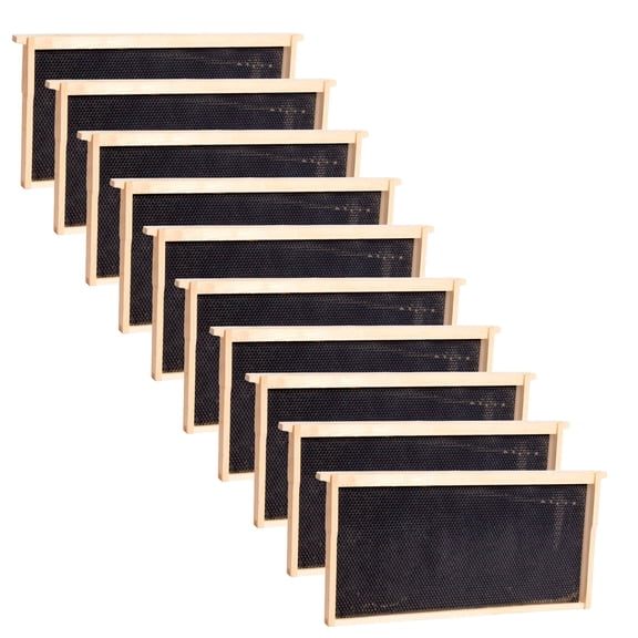 Stoney Acres Beekeeping Beehive Frame, Waxed Plastic Foundation, Deep Assembled, Honey Bee Hive, Amish Made, Set of 10
