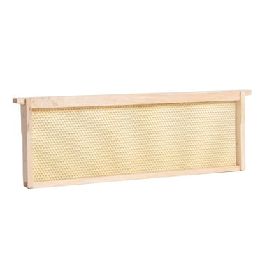 Stoney Acres Beekeeping Beehive Frame, Waxed Plastic Foundation, Medium Assembled, Honey Bee Hive, Amish Made