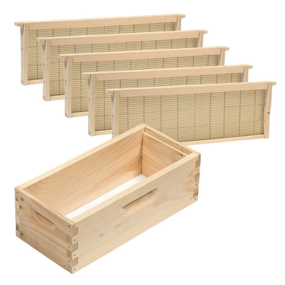 Stoney Acres Beekeeping Medium Nuc Box, Assembled Super or Brood Box with Beeswax Foundation Frames for 5 Frame Honeybee Hives, Amish Made