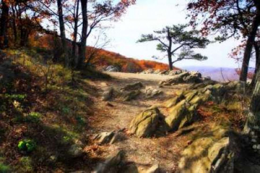 Stoney Ridge I Canvas Art - Alan Hausenflock (20 x 28)