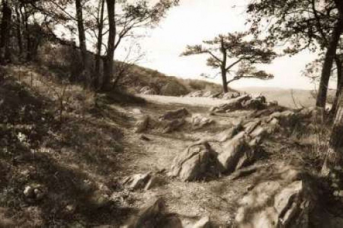 Stoney Ridge I Sepia Canvas Art - Alan Hausenflock (20 x 28)