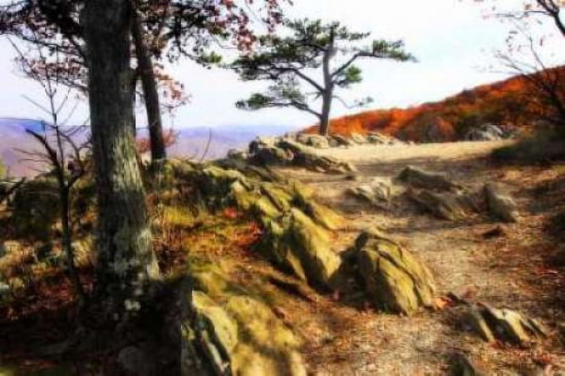 Stoney Ridge II Canvas Art - Alan Hausenflock (20 x 28)