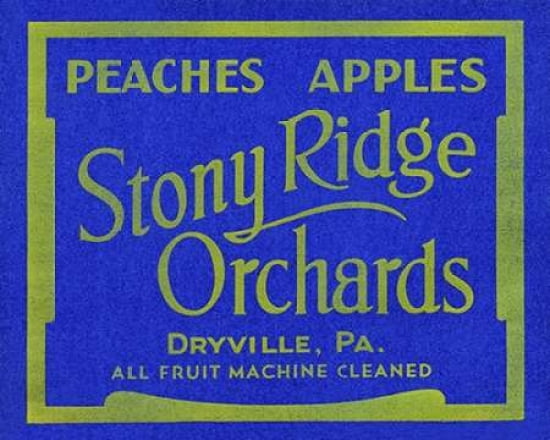 Stony Ridge Orchards Peaches and Apples Canvas Art - Unknown (24 x 30)