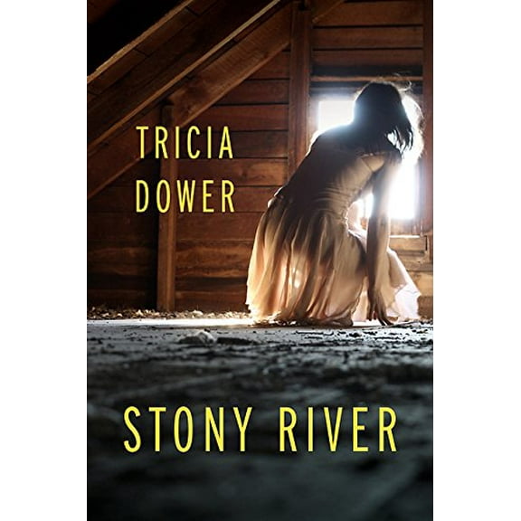 Pre-Owned Stony River (Paperback) 1935248863 9781935248866