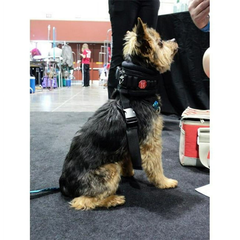 Stop bite hotsell dog collar