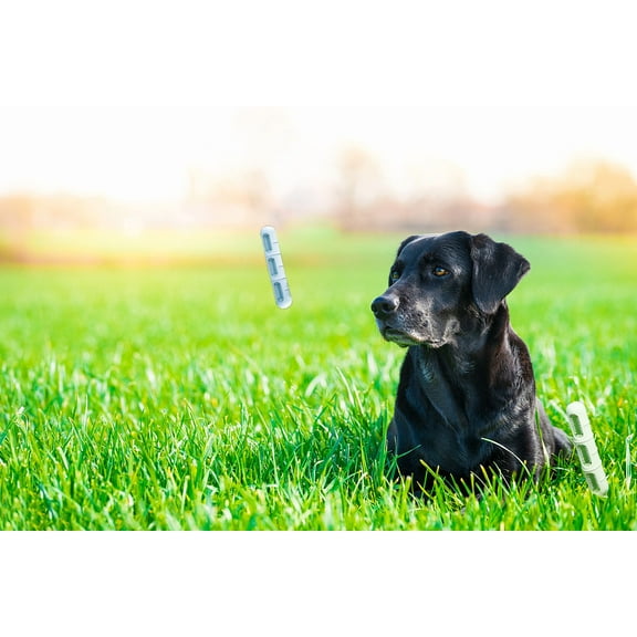 Stop Destructive Chewing: Sausage Stuffable Toy for Teething Relief & Mental Stimulation