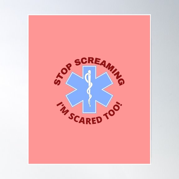 Stop Screaming I'M Scared Too Ems, Emt, Paramedic Poster Wall Art, Modern Wall Decor, 8x12 UNFRAMED