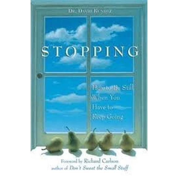 Pre-Owned Stopping: How to Be Still When You Have to Keep Going (Hardcover) 1567312926 9781567312928