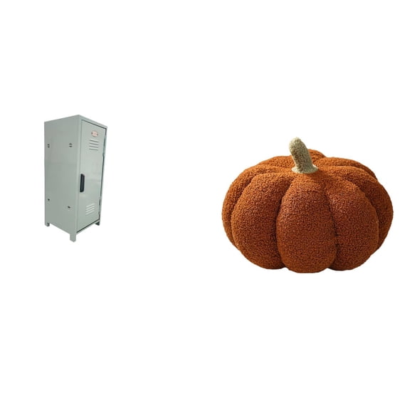 Storage Bin Mini Locker Cabinet Desktop Organizer Metal Material for Home Apartment Bedroom