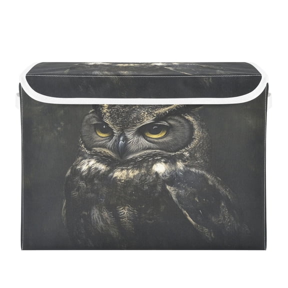 Storage Box With Lid 16.5x12.6x11.8In Foldable Stacked Household Storage Box Black Owl Pattern