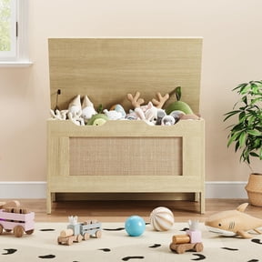 Storage Chest,24.8 In Storage Trunk with Safety Hinges,Wooden Storage Bench,Toy Organizer Box Shoe Bench,Easy Assembly,Storage Bench for Bedroom,Living Room,Entryway