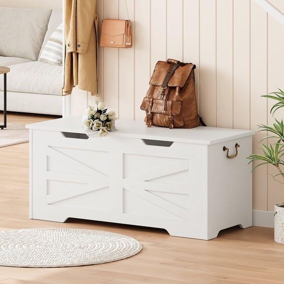 Storage Chest,24.8 In Storage Trunk with Safety Hinges,Wooden Storage Bench,Toy Organizer Box Shoe Bench,Easy Assembly,Storage Bench for Bedroom,Living Room,Entryway