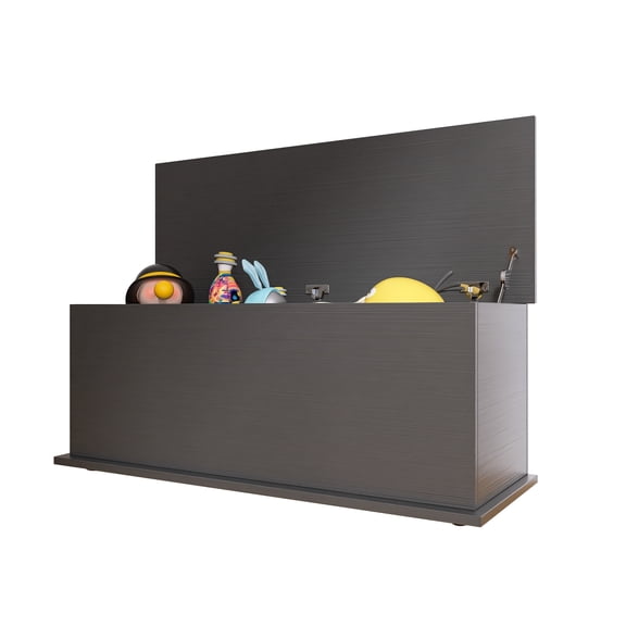 Storage Chest Trunk, Lift Top Wood Box for Entryway Bench Organizer Home Furniture, Black
