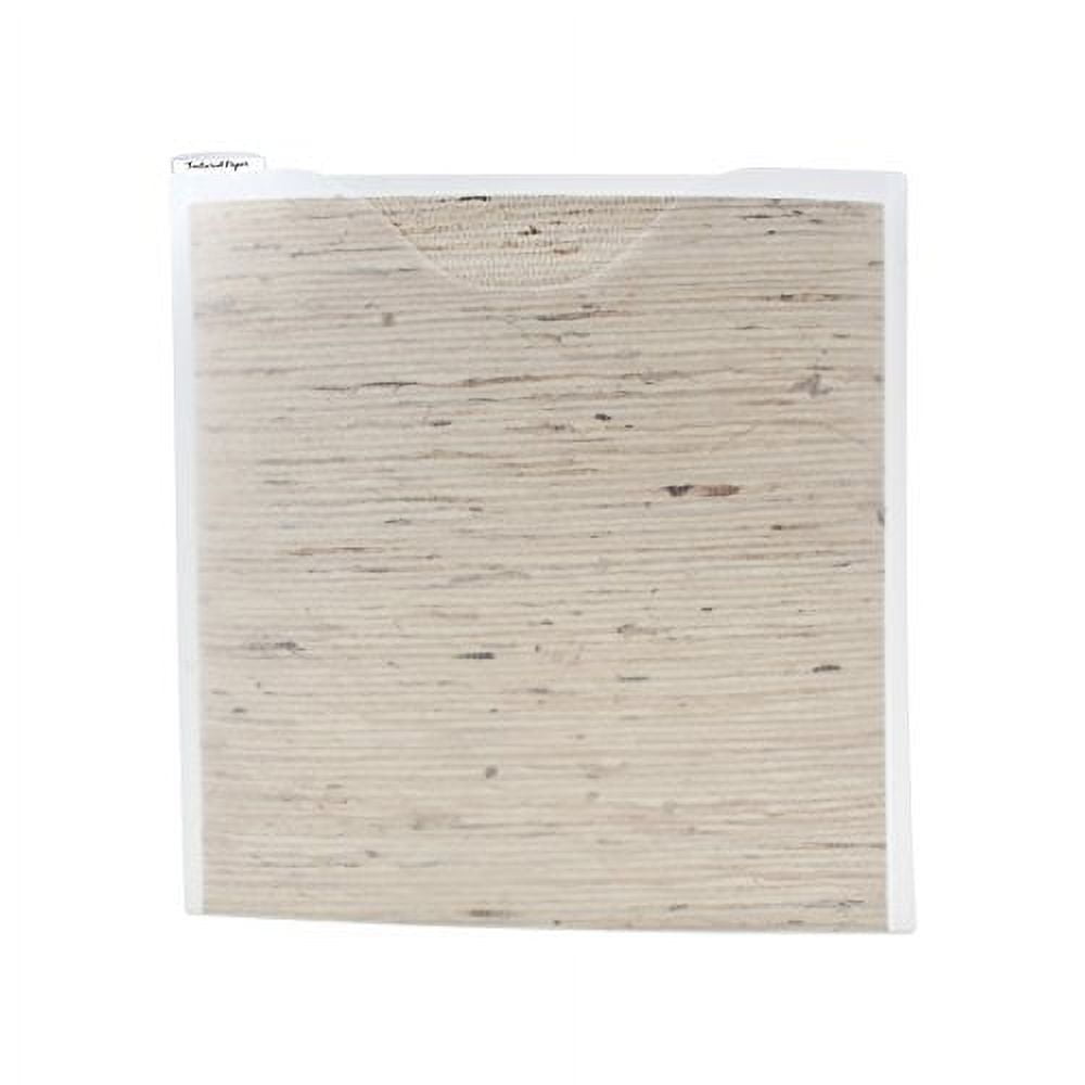 Clear Plastic Tabbed Scrapbook Paper File 3-Pack