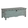 thumbnail image 1 of Storage Trunk-Finish:Mineral Gray, 1 of 2
