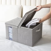 StorageWorks Foldable Fabric Storage Bin with Double-Open Lid, EX-Large Storage Box with Transparent Window, 21.2" x 15.7" x 11.8"