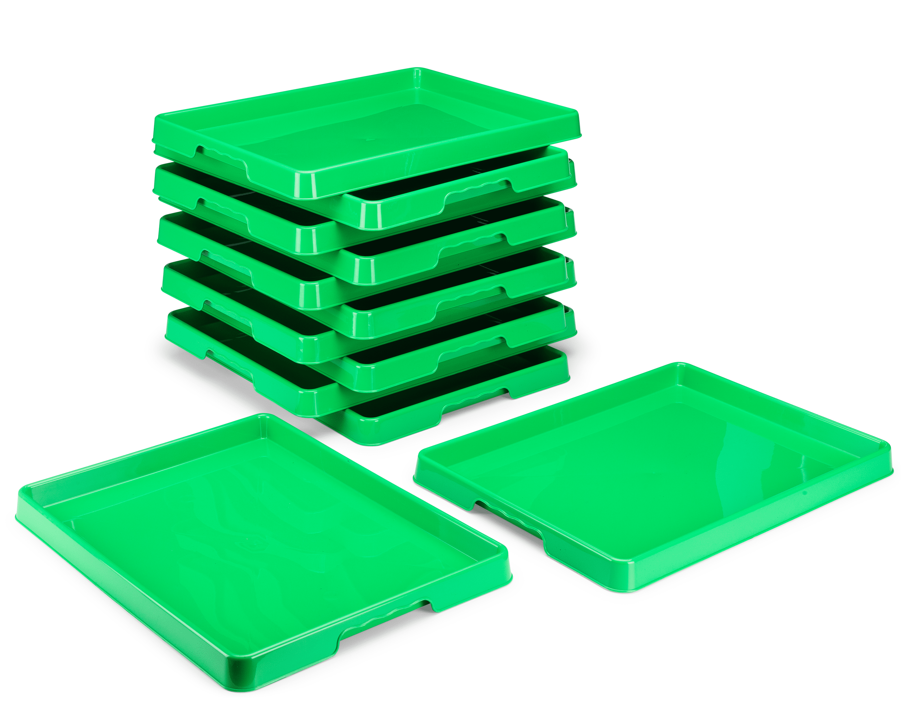 Caja Grande de Cartón Green Trays