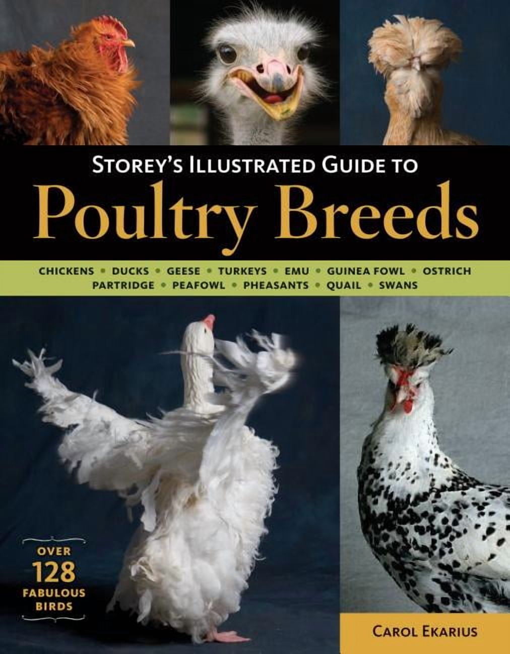 Storey's Illustrated Guide to Poultry Breeds - Paperback
