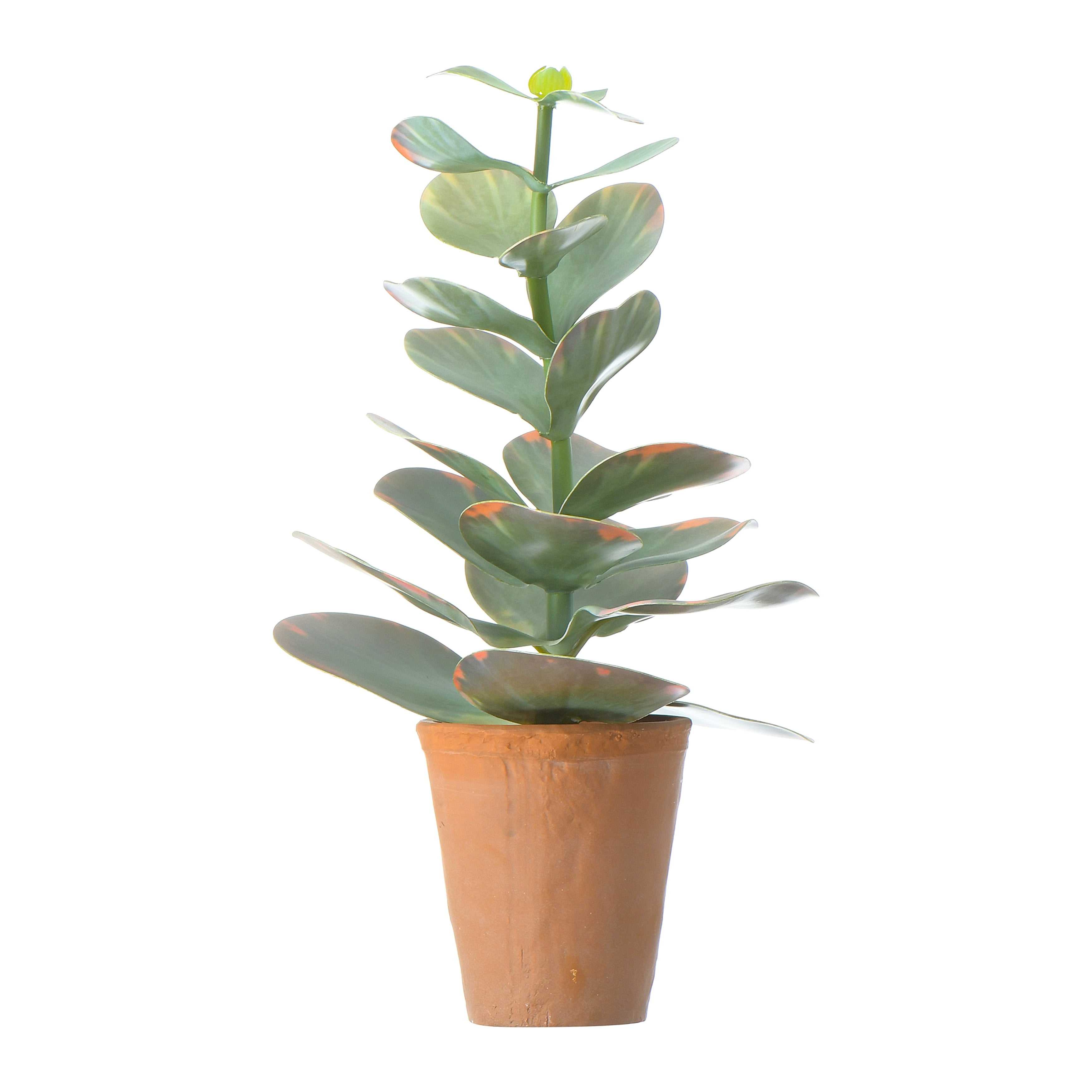 Terracotta Potted Green Faux Succulent Plant, 17.75"